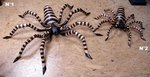 tarentule en bois - deco araignée en bois