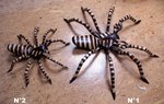 grande araigné en bois - statue murale araignée en bois
