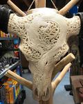 Grand crâne de buffle sculpté de dragon