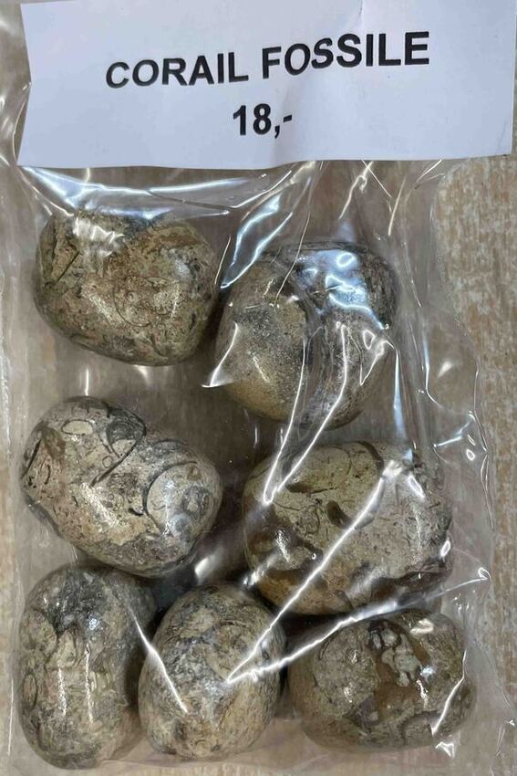 Corail fossilisé en pierre roulée au poids