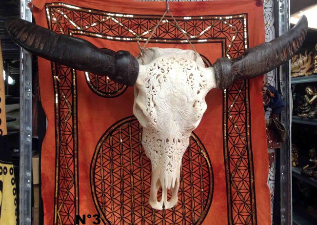 crâne de buffle sculpté, ciselé artisanalement