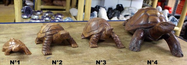 petite tortue en bois