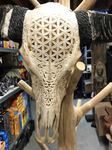 Grand crâne de buffle sculpté d'une fleur de vie