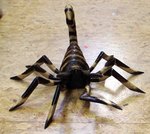 grand scorpion en bois