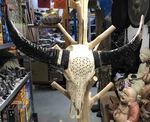 Grand crâne de buffle sculpté d'une fleur de vie
