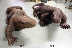 grand komodo en bois
