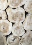 Tabouret ou assise en bois de teck et rondin