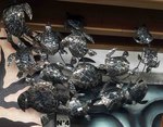 Déco murale tortue en tôle ciselée