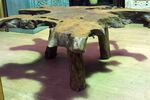 Table basse en bois et racine de teck