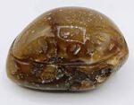 G&eacute;ode agate ouverte