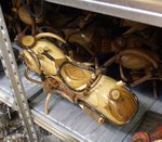 moto en bois