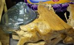 grande table basse en bois et verre pour aquarium incrusté